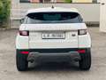 Land Rover Range Rover Evoque Evoque 2.0 td4 Pure Premium aut 150cv 4wd sport Blanco - thumbnail 4