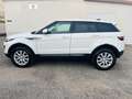 Land Rover Range Rover Evoque Evoque 2.0 td4 Pure Premium aut 150cv 4wd sport Blanco - thumbnail 2