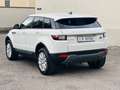 Land Rover Range Rover Evoque Evoque 2.0 td4 Pure Premium aut 150cv 4wd sport Blanco - thumbnail 3