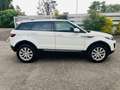 Land Rover Range Rover Evoque Evoque 2.0 td4 Pure Premium aut 150cv 4wd sport Blanco - thumbnail 6