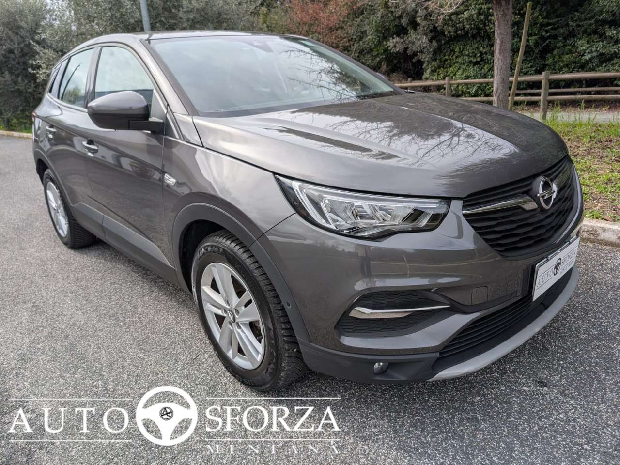 Opel Grandland X 1.5 D Ecotec Elegance Automatica Tagliandata E6d