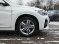 BMW X1 sDrive18d M Sportpaket Head-Up HiFi DAB LED Weiß - thumbnail 19