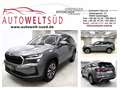 Skoda Kodiaq 2.0 TDI DSG 4x4 Selection 7Sitzer Convinience+ Gris - thumbnail 1