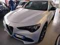 Alfa Romeo Stelvio 2.2 Turbodiesel 210 CV Q4 Veloce PROMO Grigio - thumbnail 9