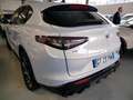Alfa Romeo Stelvio 2.2 Turbodiesel 210 CV Q4 Veloce PROMO Grigio - thumbnail 7