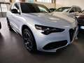 Alfa Romeo Stelvio 2.2 Turbodiesel 210 CV Q4 Veloce PROMO Grigio - thumbnail 1
