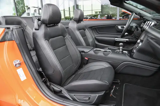 Ford Mustang view 13