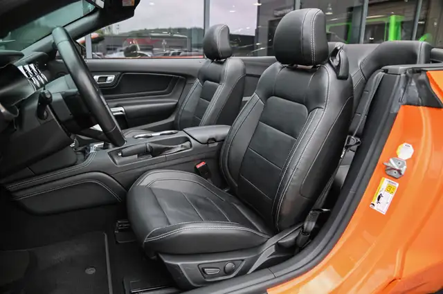Ford Mustang view 12