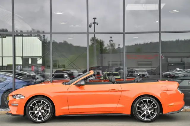 Ford Mustang view 6