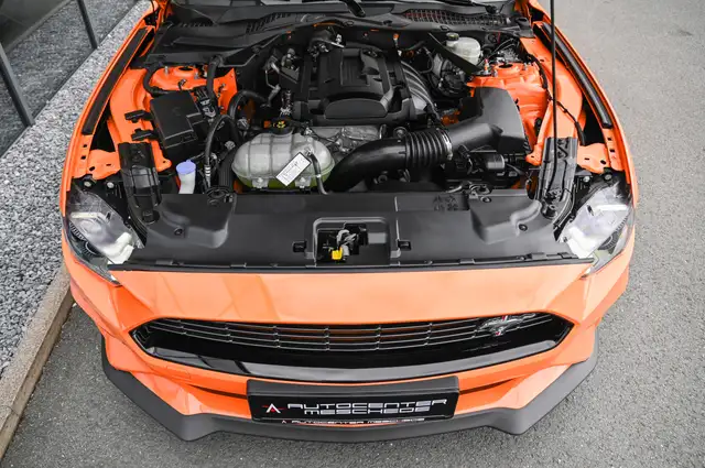 Ford Mustang view 7