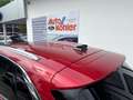 Ford Kuga Titanium Automatik (8-fach Bereifung) Rot - thumbnail 4