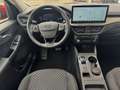Ford Kuga Titanium Automatik (8-fach Bereifung) Rot - thumbnail 11