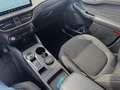 Ford Kuga Titanium Automatik (8-fach Bereifung) Rot - thumbnail 13