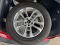 Ford Kuga Titanium Automatik (8-fach Bereifung) Rot - thumbnail 7