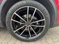 Ford Kuga Titanium Automatik (8-fach Bereifung) Rot - thumbnail 6