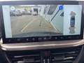 Ford Kuga Titanium Automatik (8-fach Bereifung) Rot - thumbnail 16