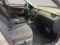 Skoda Octavia Combi 1.5 TSI ACT DSG Soleil Silber - thumbnail 18