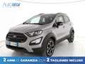 Ford EcoSport 1.0 ecoboost Active s&s 125cv Marrón - thumbnail 1