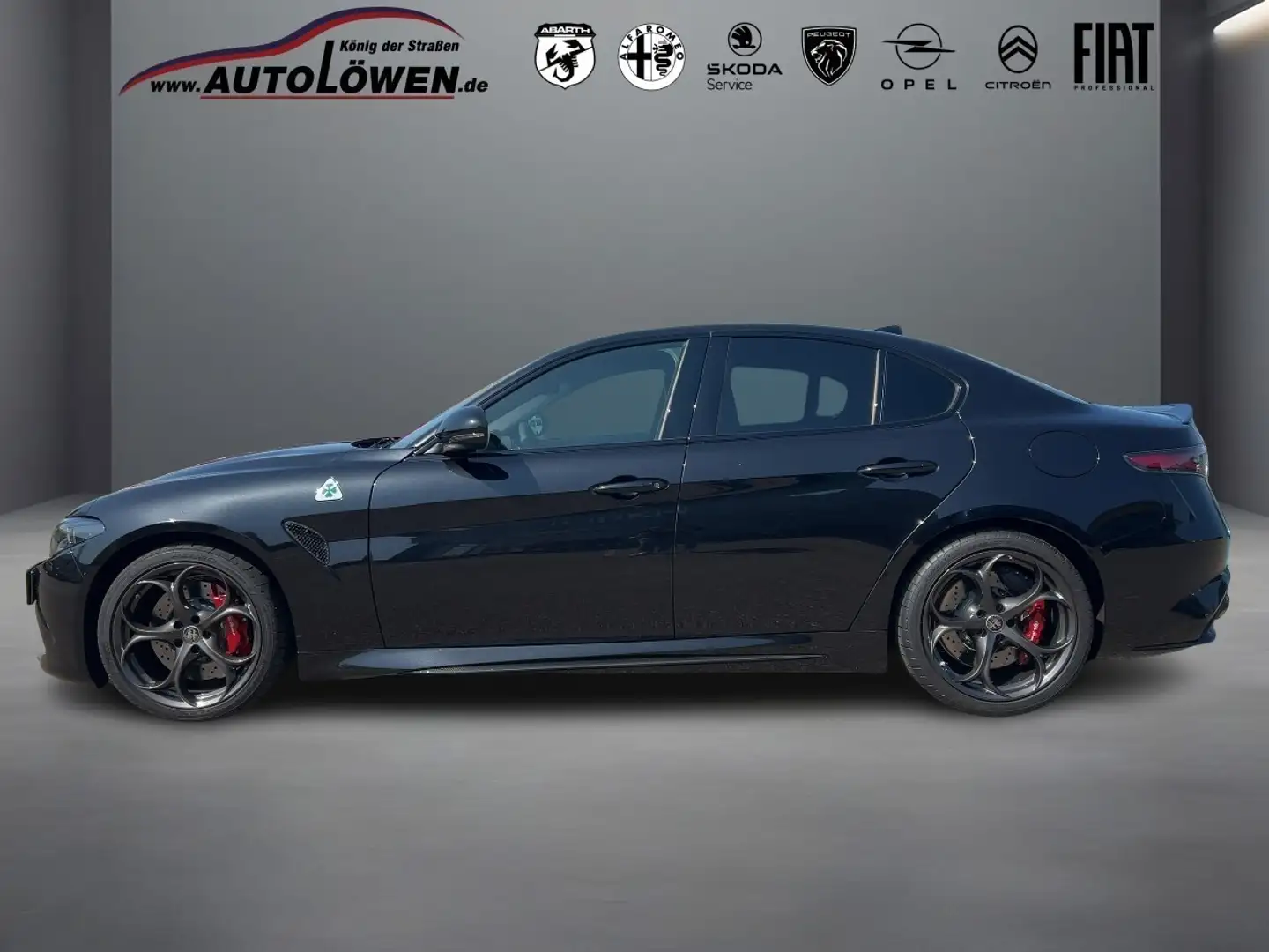 Alfa Romeo Giulia 2.9 V6 Bi-Turbo Quadrifoglio (EURO 6e) Schwarz - 2