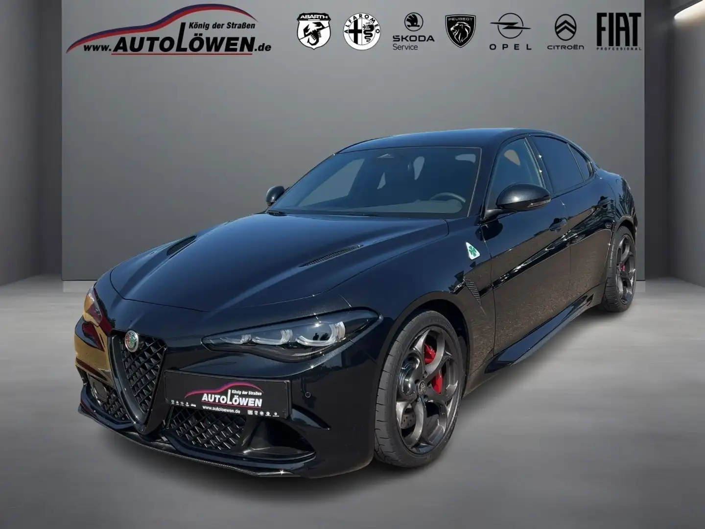 Alfa Romeo Giulia 2.9 V6 Bi-Turbo Quadrifoglio (EURO 6e) Schwarz - 1