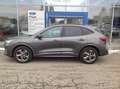 Ford Kuga 2,5 Duratec FHEV ST-Line X Allrad Aut. Grau - thumbnail 14