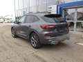 Ford Kuga 2,5 Duratec FHEV ST-Line X Allrad Aut. Grau - thumbnail 13