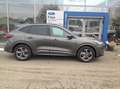 Ford Kuga 2,5 Duratec FHEV ST-Line X Allrad Aut. Grau - thumbnail 4