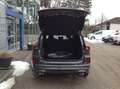 Ford Kuga 2,5 Duratec FHEV ST-Line X Allrad Aut. Grau - thumbnail 7