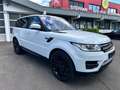 Land Rover Range Rover Sport HSE Wit - thumbnail 6