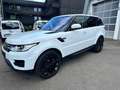 Land Rover Range Rover Sport HSE Wit - thumbnail 3