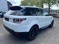 Land Rover Range Rover Sport HSE Wit - thumbnail 5