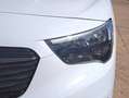 Opel Combo BEV 50kWh  L Edition Plus Blanco - thumbnail 16