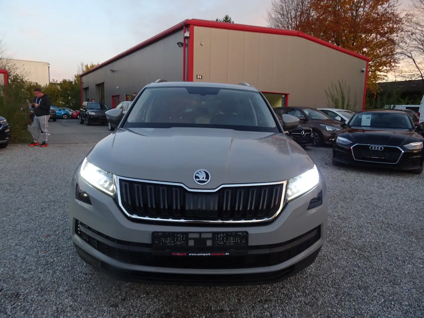 Skoda Kodiaq (NS) Style Grau - 2