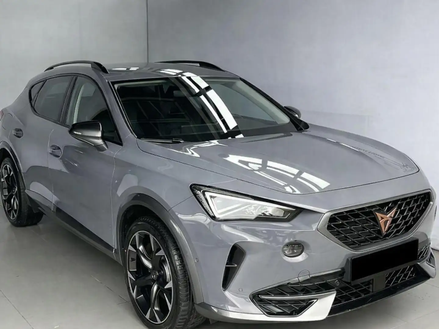 CUPRA Formentor Formentor 2,0 TDI 4Drive Cupra DSG Cupra Grau - 1