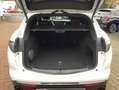 Alfa Romeo Stelvio Veloce Q4 2.0 Turbo 280PS Wit - thumbnail 11