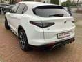 Alfa Romeo Stelvio Veloce Q4 2.0 Turbo 280PS Blanc - thumbnail 5