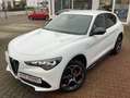 Alfa Romeo Stelvio Veloce Q4 2.0 Turbo 280PS Wit - thumbnail 4