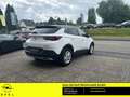 Opel Grandland 120 Jahre 1.5 D EU6d-T Apple CarPlay Android Auto Weiß - thumbnail 13