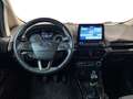 Ford EcoSport - EcoSport 1.0 ecoboost Titanium 100cv my19 Nero - thumbnail 14