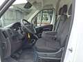 Opel Movano L2H2 BlueHDi 140 3.3 ***AKTION *** Weiß - thumbnail 18
