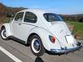 Volkswagen Käfer 1200 A Grau - thumbnail 7