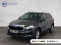 Skoda Karoq Selection TDI Grau - thumbnail 1