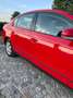 Volkswagen Passat 4Motion Rot - thumbnail 12