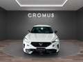 CUPRA Formentor 2.0 tdi 150cv - thumbnail 3