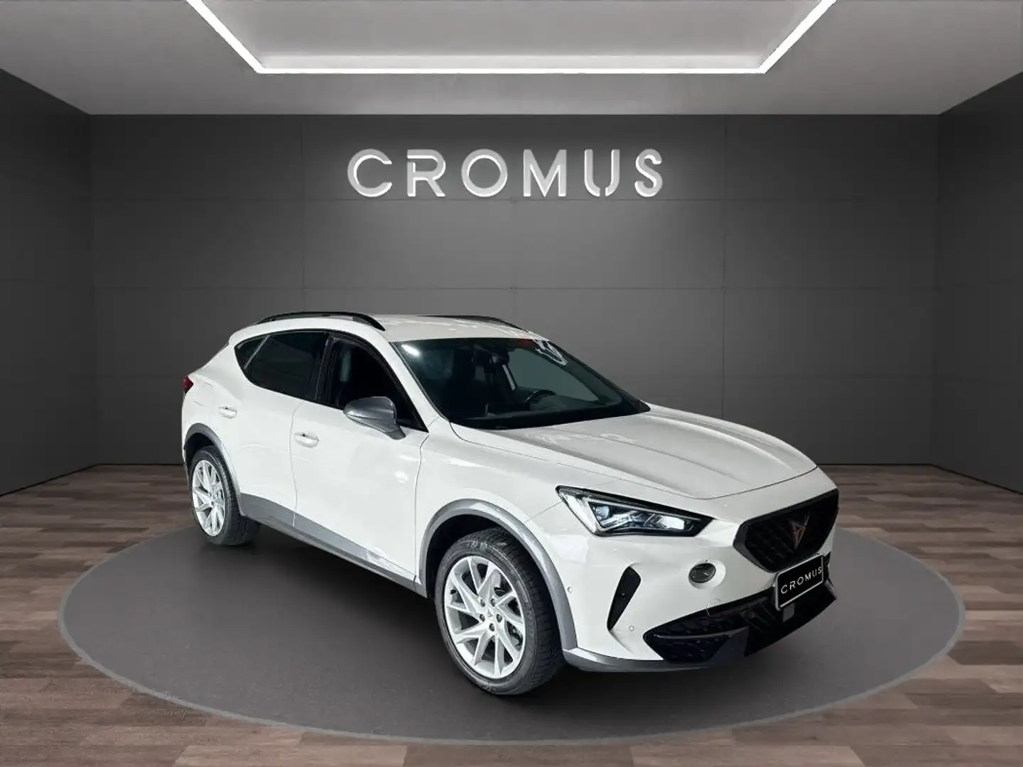 CUPRA Formentor 2.0 tdi 150cv - 2