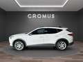 CUPRA Formentor 2.0 tdi 150cv - thumbnail 6