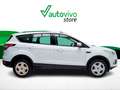 Ford Kuga TREND 1.5 AUTOMATICO 150 CV 5P Blanco - thumbnail 13