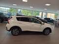 Hyundai BAYON Bayon 1,0 T-GDI GO PLUS DCT *LED*Navi*Klima* Weiß - thumbnail 6