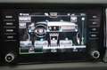 Skoda Kodiaq 1.5 TSI ACT Ambition Uniprop. Tagliandata Blu/Azzurro - thumbnail 12