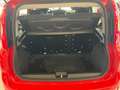 Fiat Panda Panda III 2021 1.0 firefly hybrid Sport 5 POSTI Rosso - thumbnail 12